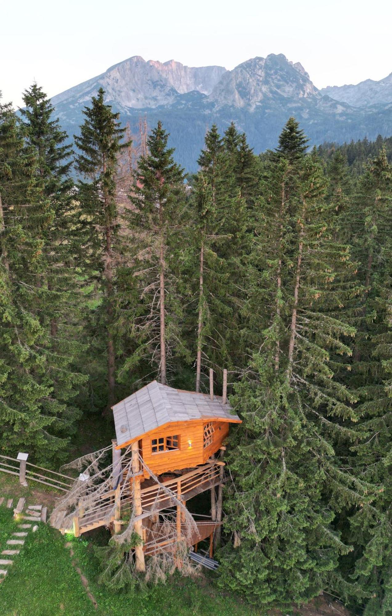 Guesthouse Planinarski Dom Neviden'O Žabljak Exterior foto