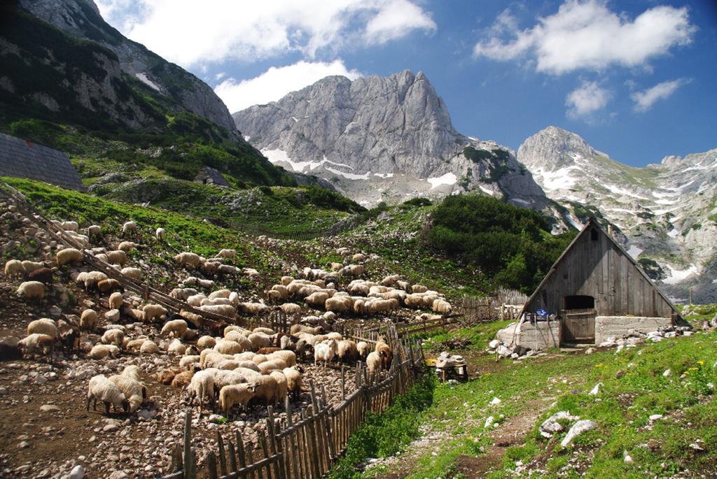 Guesthouse Planinarski Dom Neviden'O Žabljak Exterior foto