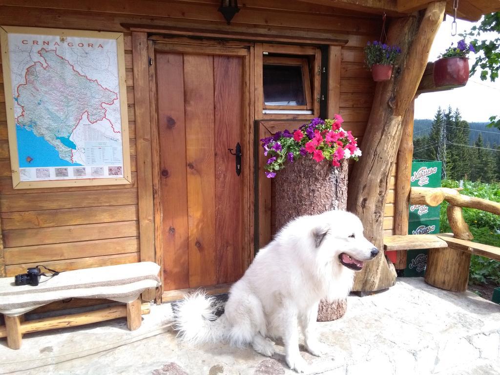 Guesthouse Planinarski Dom Neviden'O Žabljak Exterior foto