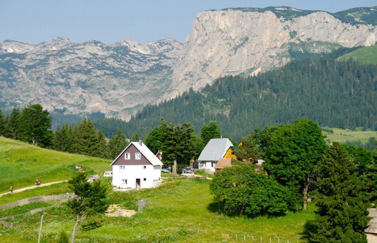 Guesthouse Planinarski Dom Neviden'O Žabljak Exterior foto